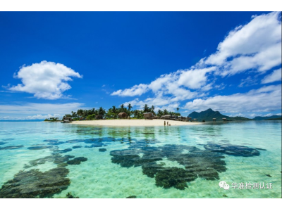马来西亚的沙滩，海鸥和认证